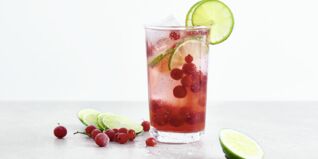 Cranberry-Lime-Spritzer Cranberry-Lime-Spritzer