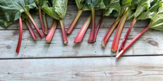 Lieblingsrezepte im April - Rhabarber Lieblingsrezepte im April - Rhabarber