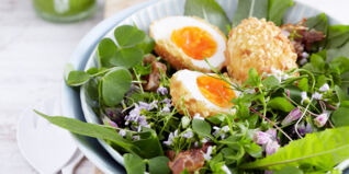 Mandeleier auf Wildkräutersalat Mandeleier auf Wildkräutersalat