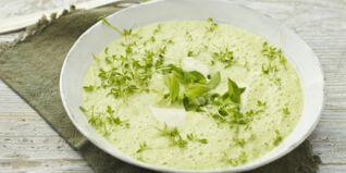Kohlrabicremesuppe mit Kresse