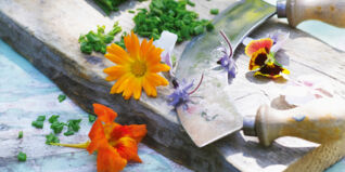 Sommerküche, Blüten und Schnittlauch werden gehackt, Step Küchenglossar Unterseiten Rezepte H-K