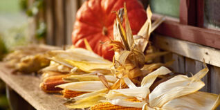 Saisonkalender Obst Gemüse Oktober Saisonkalender Obst Gemüse Oktober