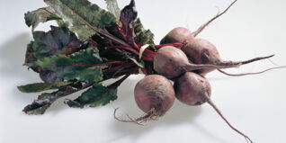Rote Bete Rote Bete