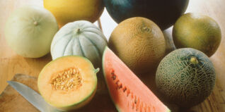 Melonen