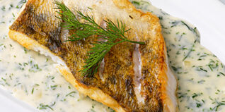 Zander in Dill-Sauce