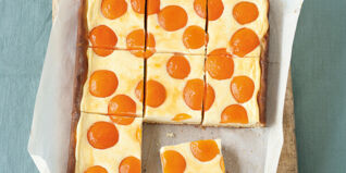 Aprikosen-Quark-Kuchen Aprikosen-Quark-Kuchen