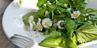 Brunnenkressesalat mit Wildkräutern und Blüten