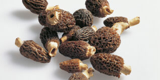 Seltene Pilze Morcheln Seltene Pilze Morcheln