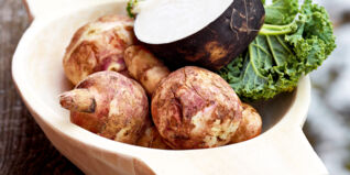 Topinambur Topinambur