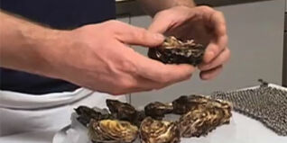 Austern richtig verzehrt