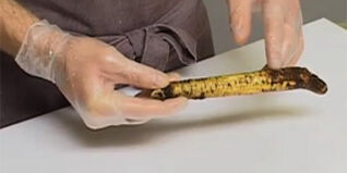 Schwarzwurzeln richtig putzen und verarbeiten