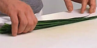 Schnittlauch richtig putzen und verarbeiten