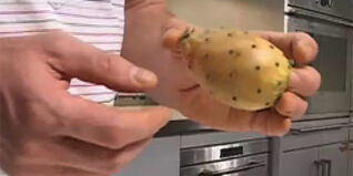 Kaktusfeigen und ihre Verwendungsmöglichkeiten