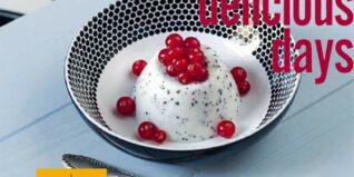 DELICIOUS DAYS: Auf dem Weg vom Blog zum Buch