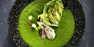 Forelle mit Salatsuppe