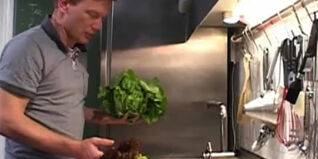 Kopfsalat richtig putzen und verarbeiten