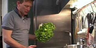 Endiviensalat richtig putzen und verarbeiten