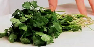 Koriander richtig putzen und verarbeiten