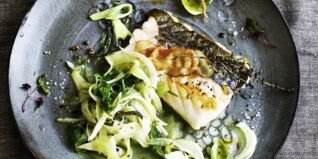 Skrei auf Fenchelkraut mit Wakame