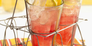 Rin-Tin-Tonic Rin-Tin-Tonic