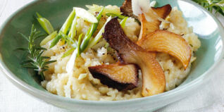 Rosmarin-Risotto mit Kräuterseitlingen