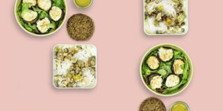 Ein Pilzlein steht im Walde Ein Pilzlein steht im Walde