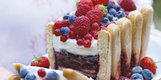 Beerenterrine mit Dickmilchcreme Beerenterrine mit Dickmilchcreme