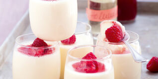 Holunderblüten-Pannacotta Holunderblüten-Pannacotta