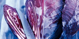 Saisonkalender Obst Gemüse Dezember Saisonkalender Obst Gemüse Dezember