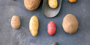 Kartoffeln