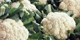 Blumenkohl Blumenkohl