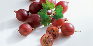 Stachelbeeren
