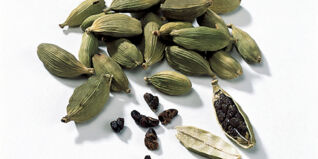 Kardamom Kardamom