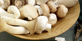 Pilze einfach und richtig zubereiten