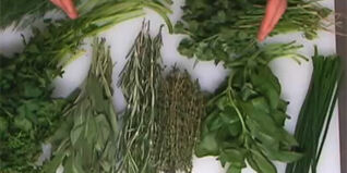 Kräuter und ihre Vielfalt