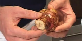 Topinambur und seine Verwendungsmöglichkeiten