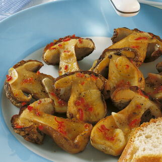 Grillpilze Grillpilze