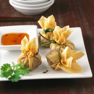 Goldsäckchen mit Pflaumensauce Goldsäckchen mit Pflaumensauce