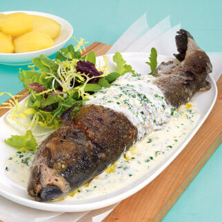 Forellen in Weißweinsauce Forellen in Weißweinsauce