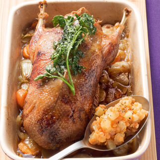 Wildente auf Apfellinsen Wildente auf Apfellinsen