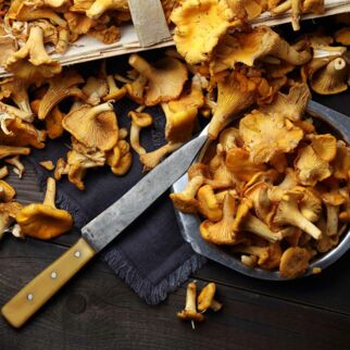 Pfifferlinge Pfifferlinge