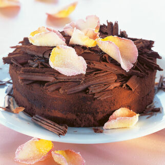 Espresso-Mascarponekuchen Espresso-Mascarponekuchen