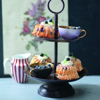 HEIDELBEER-JOGHURT-GUGL HEIDELBEER-JOGHURT-GUGL