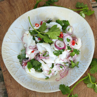 Ceviche – das Original Ceviche – das Original