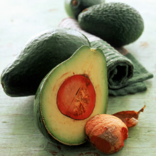 Avocados Avocados