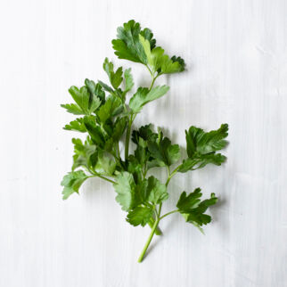 Petersilie Petersilie