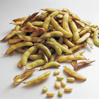 Sojabohnen Sojabohnen