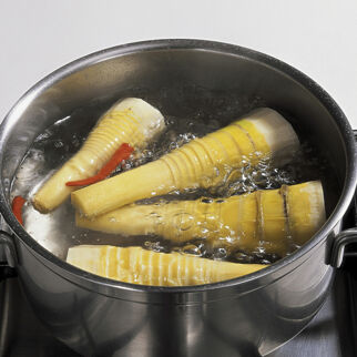 Bambussprosse Bambussprosse