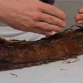 Rehrücken einfach und richtig tranchieren Rehrücken einfach und richtig tranchieren