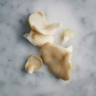 Slow Carb Austernpilze Slow Carb Austernpilze